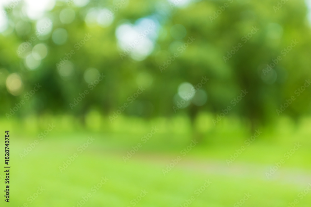 Obraz premium nature background,blur natural and light background in the park,Blurred of tree branch in garden with sunny flare light in morning.background of nature and environment concept