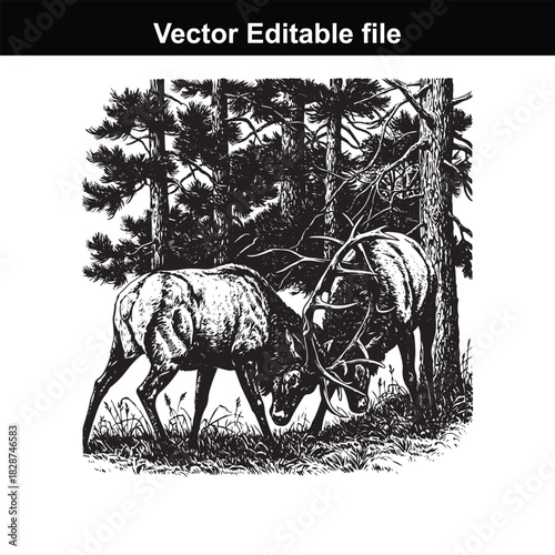 Two male elk with large antlers locked in a fierce battle for dominance amidst a dense pine forest, showcasing raw nature and wildlife