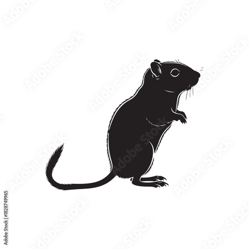 Black Gerbil or Small Rodent Silhouette Vector: Cute Animal Standing on Hind Legs with Long Tail - Pet, Hamster, Rat, or Mouse Graphic Icon for Wildlife Illustration