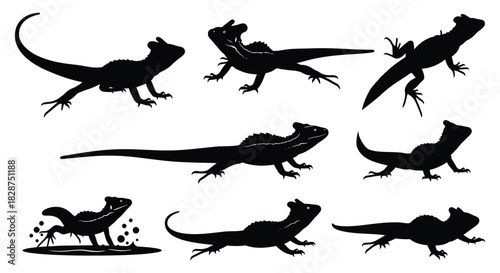 Various black lizard silhouettes in different poses and shapes