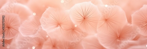 A soft, pink background featuring delicate, translucent petals with intricate textures, creating a serene and dreamy atmosphere.