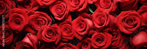 A vibrant arrangement of red roses, symbolizing love and beauty, creating a romantic and lush floral display.