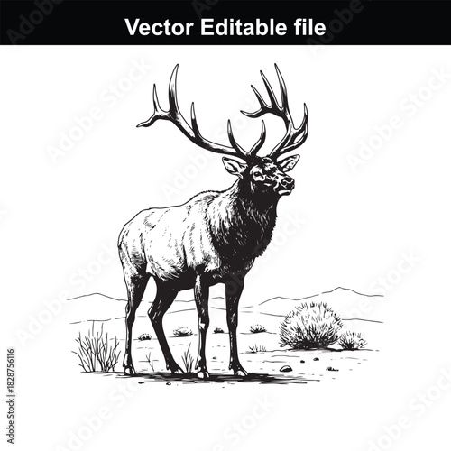 Majestic bull elk standing proudly in a dry, grassy landscape with sparse bushes under a clear sky, detailed illustration