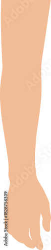 Simple Flat Design Forearm Human Arm Skin Body Part Graphic