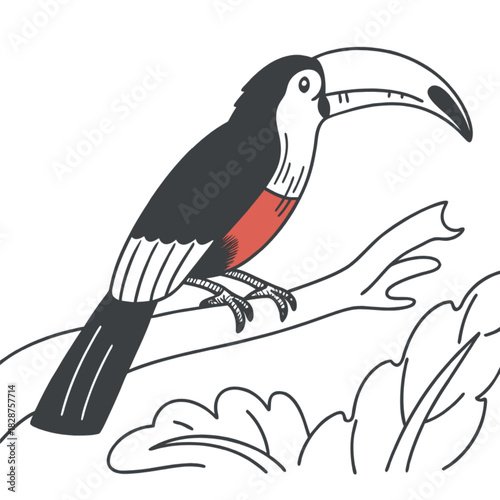 toucan on a branch