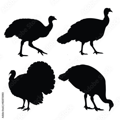 Turkey Bird Silhouette Vector Set