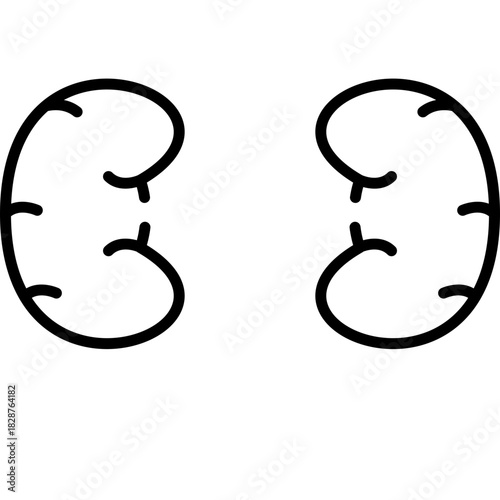 Kidneys Icon