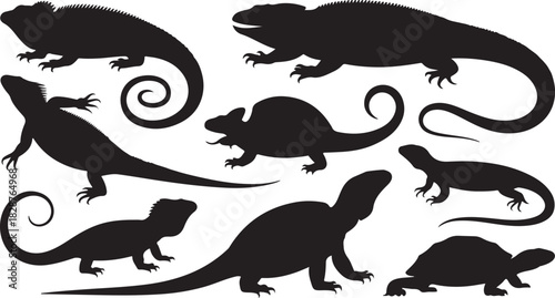 Collection of different lizards silhouettes vector illustration on a white background