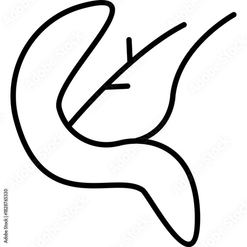 Pancreas Icon