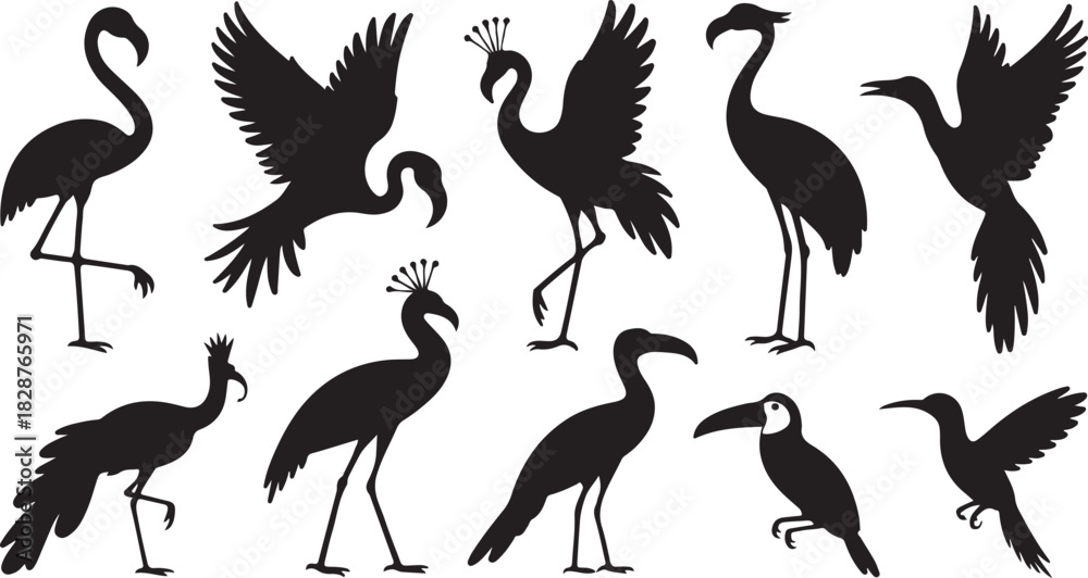 Naklejka premium Exotic Bird Silhouettes Diverse Avian Species in Black and White Graphic
