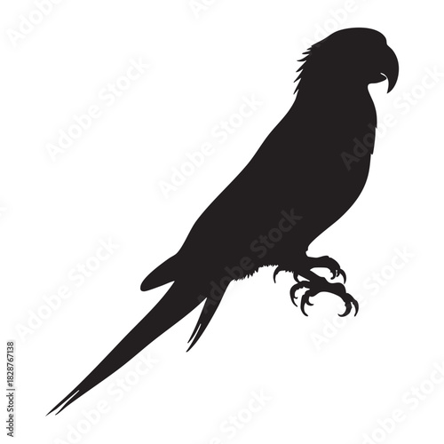 Parrot silhouette perched still against blank pure white background