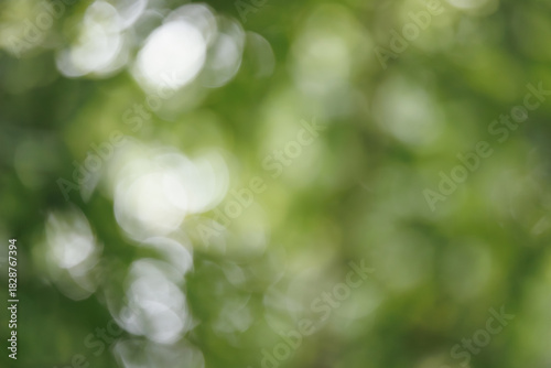 abstract blur and defocused, natural green bokeh background, concept of plant in forest or garden, wallpaper, template for presentation, round bokeh