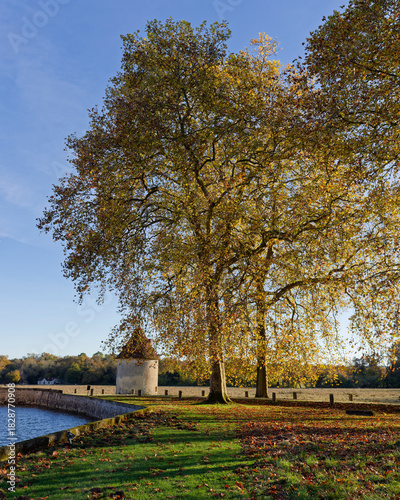Autumn afternoon by the tower in the French countryside