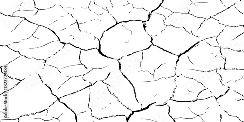 High-contrast black and white cracked earth texture with deep fissures and dried soil patterns. Ideal for environmental themes, drought concepts, abstract backgrounds, and graphic design elements.