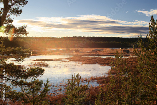 Sunlight over Svansele Dammanger (Svansele water meadows) in Sweden with calm water and pine forest