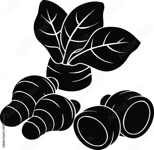 Taro Root Vegetable Group Black Silhouette Vector Art Illustration on Transparent Background, Food & Agriculture