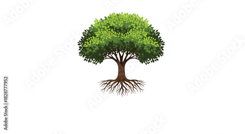 Beautifully illustrated green tree with a full leafy canopy and a strong visible root system symbolizing life growth and nature.