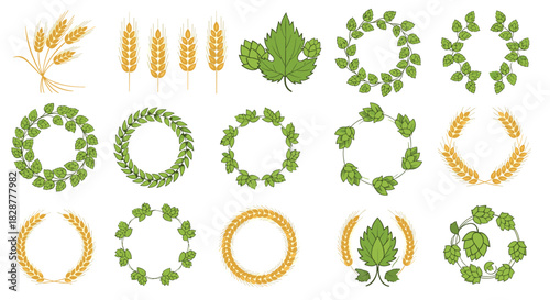 Collection of wheat stalks and hop cones illustrated as individual elements and arranged into decorative wreaths for brewery designs.