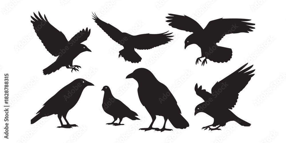 Obraz premium Set of Black Crow Silhouette in Different Poses Illustration Vector Against White Background