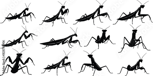 Black Praying Mantis Silhouettes Vector Collection Featuring Multiple Threatening and Predatory Poses for Nature, Insect, Entomology, and Fierce Wildlife Graphic Designs.