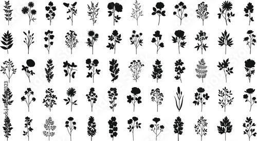 Botanical silhouette collection, wildflower shadow set, plant outline icons, 