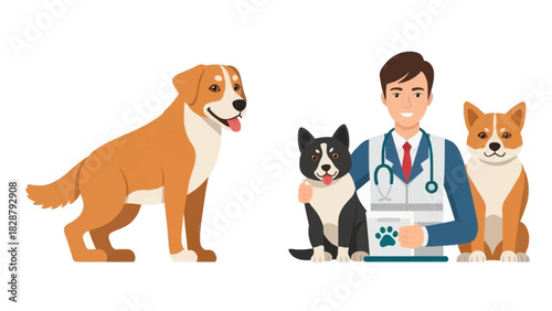Cartoon vet with three dogs golden blackwhite  corgi