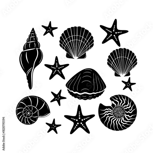 Sea shells and starfish collection vector. Different type of sea shells and starfish silhouette illustration on white background.