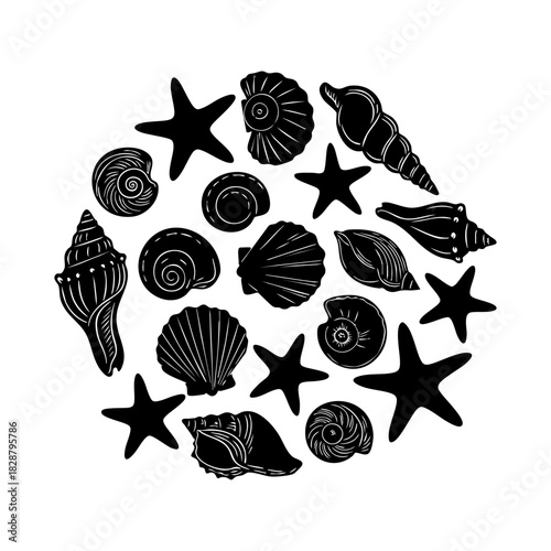 Sea shells and starfish collection vector. Different type of sea shells and starfish silhouette illustration on white background.