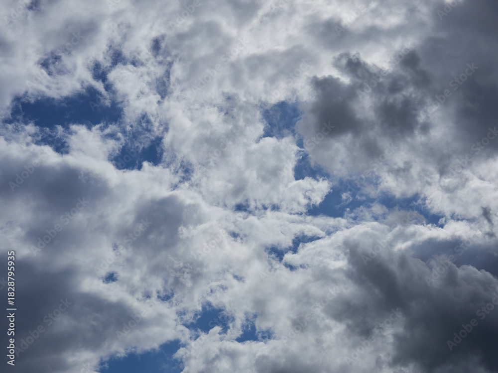 Fototapeta premium 夏の青空と空の雲の風景