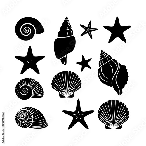 Sea shells and starfish collection vector. Different type of sea shells and starfish silhouette illustration on white background.