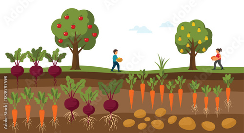A colorful illustration of a bountiful garden showcasing various crops growing above and below the soil, with people harvesting fruit.