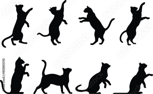 Collection of black cat silhouettes in various playful poses
