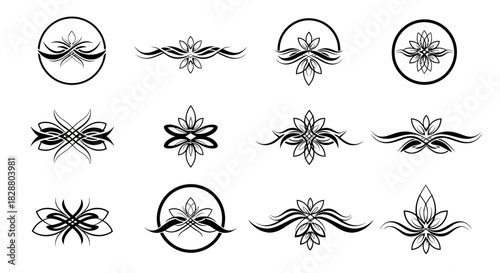 Nature-inspired insect illustration set featuring detailed ants, beetles, dragonflies, and various small creatures drawn in clean contour style.