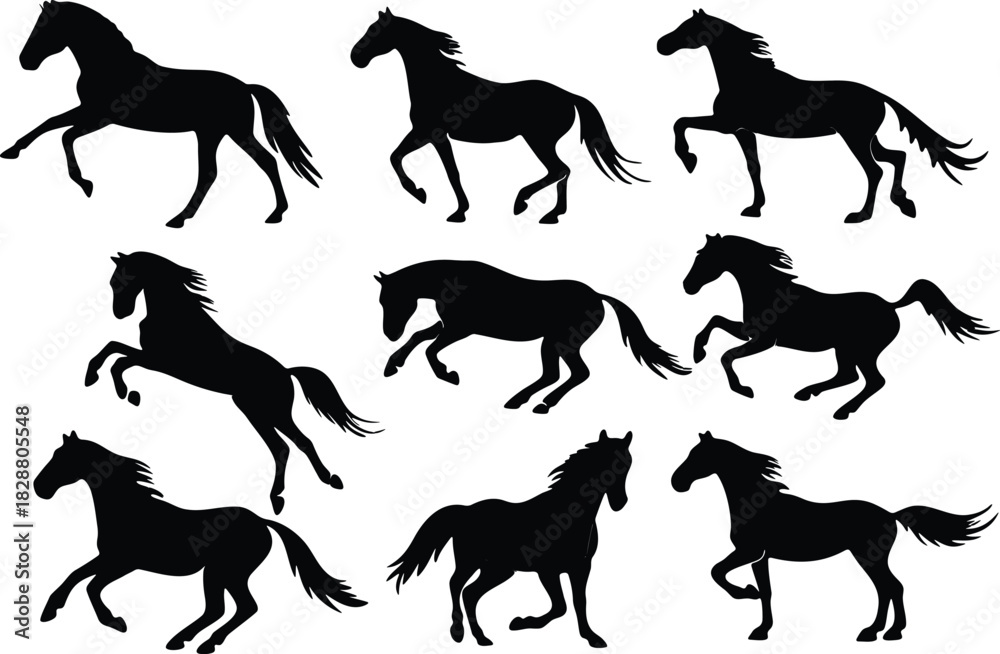 Fototapeta premium Collection of black horse silhouettes in various poses and movements