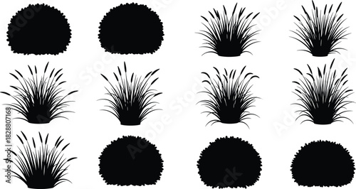 Silhouettes of Decorative Bushes, Ornamental Grass, and Shrubs for Exterior Design or Park Decor