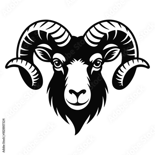 vector illustration of a sheep