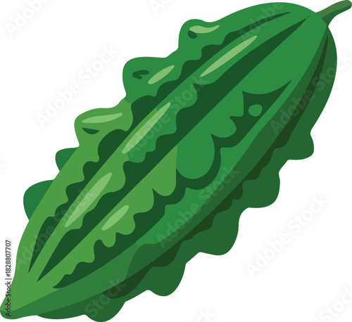 Green bitter melon vector illustration showing the elongated bumpy vegetable with its characteristic texture