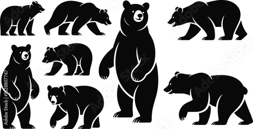 Black bear silhouettes, standing bear, walking bear, wildlife vector illustration, grizzly poses, animal design, forest wildlife art, predator graphic collection