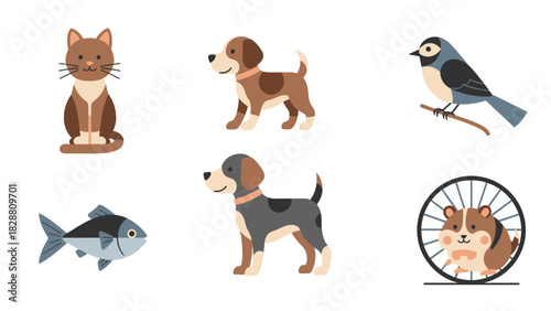 Collection of Cartoon Pets isolated on White background