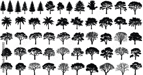 Large collection of diverse tree silhouettes, pine, palm, tropical and deciduous trees, black vector nature elements for landscape, design, and illustration projects