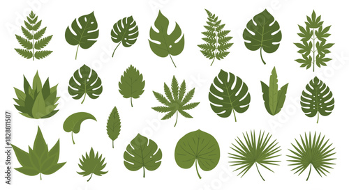 A vibrant collection of diverse green tropical and temperate leaves, featuring various shapes and textures, perfect for botanical design elements.