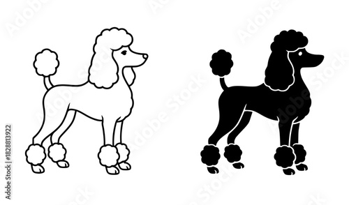Vector illustration of a poodle dog, black and white, outline and silhouette