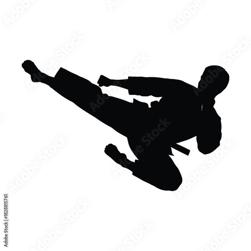 Silhouette of martial artist performing a high kick in dynamic action