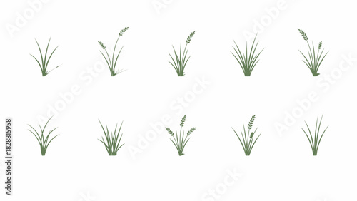 Collection of stylized blades of grass with some seed heads isolated