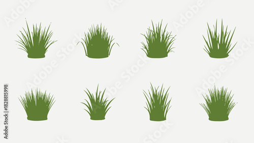 Clumps of Fresh Green Grass Isolated on White Background