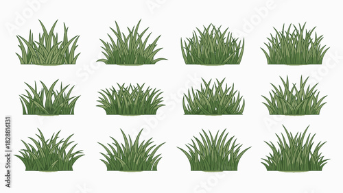Diverse Green Grass Tufts Vector Illustration Set