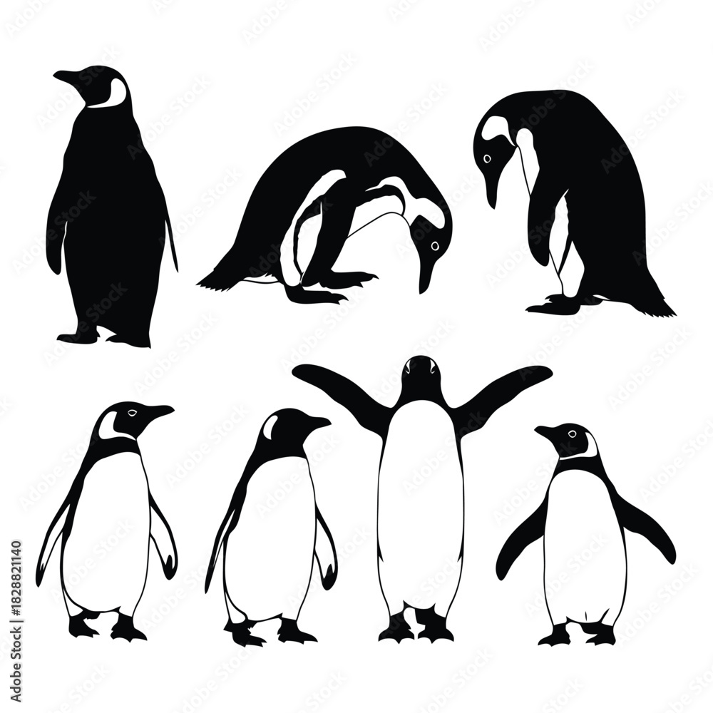 Fototapeta premium Collection of various penguin silhouettes in different poses, black and white, isolated on
