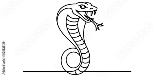 Cobra snake line art drawing illustration with hood spread, fangs visible and forked tongue out, detailed reptile graphic vector isolated on white. Vector, illustration