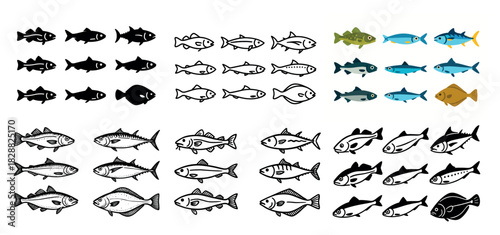 Diverse fish silhouettes and illustrations