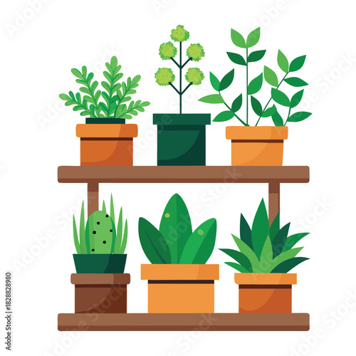 Potted green houseplant with leaves growing in a flowerpot for home garden decoration